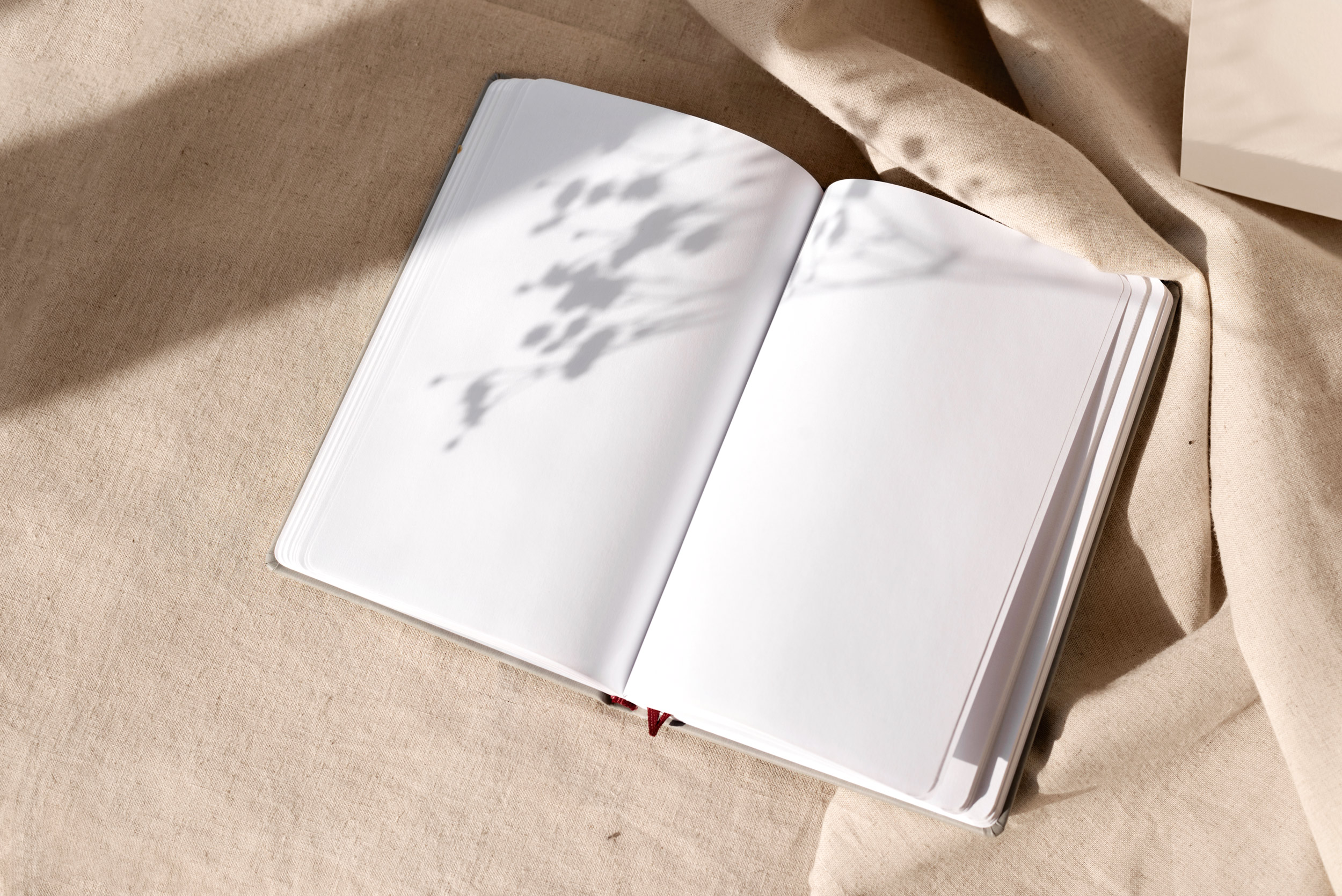 aufgeschlagenes Buch